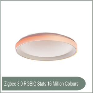Ceiling Light T1M