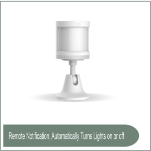 Motion and Light Sensor P2 Thread version