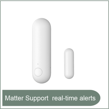 Door and Window Sensor P2