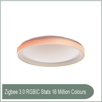 Ceiling Light T1M