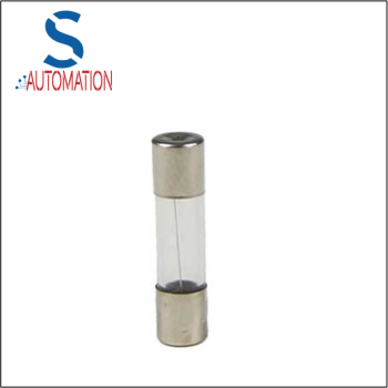 Glass Fuse Fast 20mm 500mA