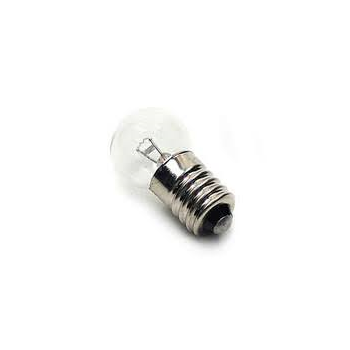 6 Volt Globe